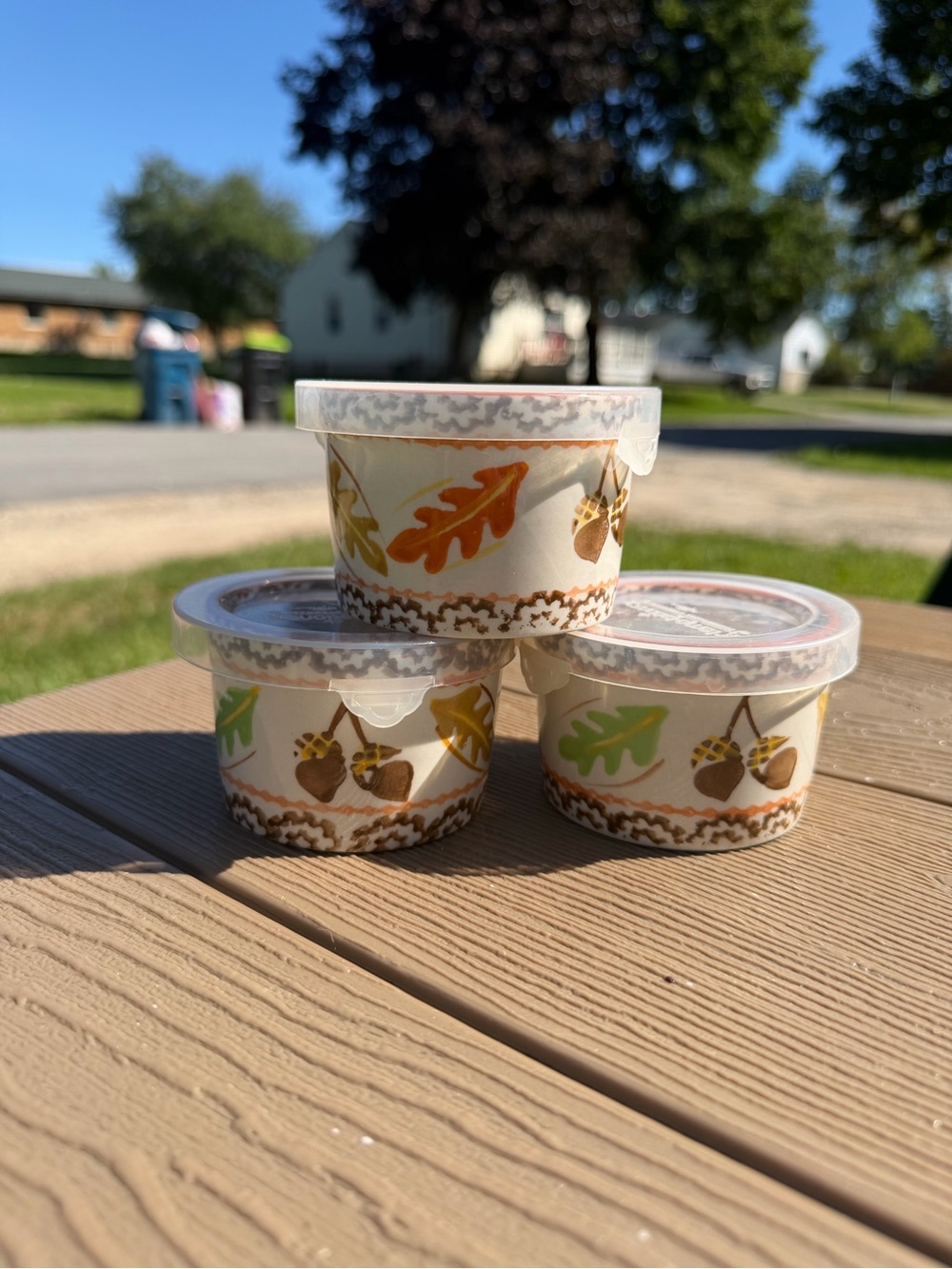 Temptations By Tara Acorns & Leaves Autumn Ramekins 3" & Plastic Lids (Set Of 3)